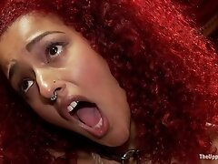 Bill Bailey Daisy Ducati Zoey Monroe in Daisy Ducati Petitions To Serve The House, And Anal Slut Zoey Monroe Gets Fucked In The Ass - TheUpperFloor