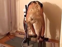 Self bondage