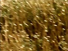 Exotic pornstars Nikki Veil, Aurora Snow and Shay Sweet in horny sex clip