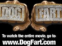 Kaylee Hilton - DogFartNetwork