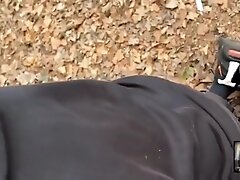 Three Friends In The Woods Aof52