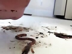 Hard crush before sex