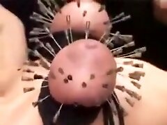 Needles in tits