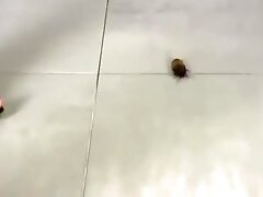 Roach crush