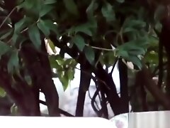 Spied On Asian Urinates